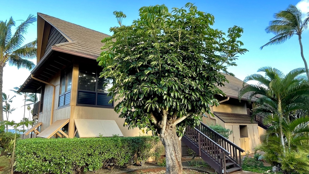 Photo of Outdoor in Maunaloa