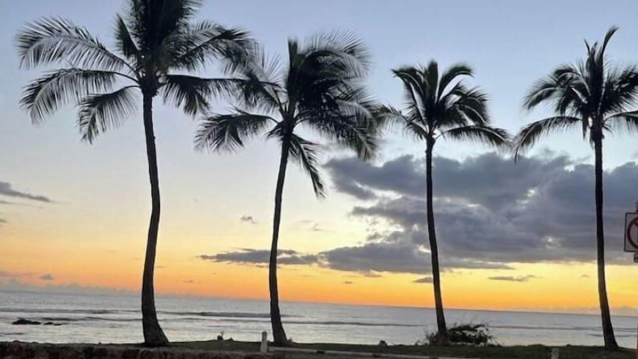 Photo of Others in Makaha Valley