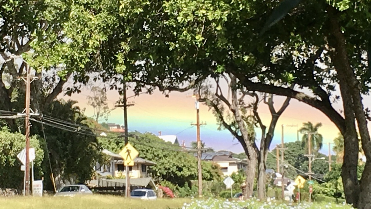 Photo of Outdoor in Manoa