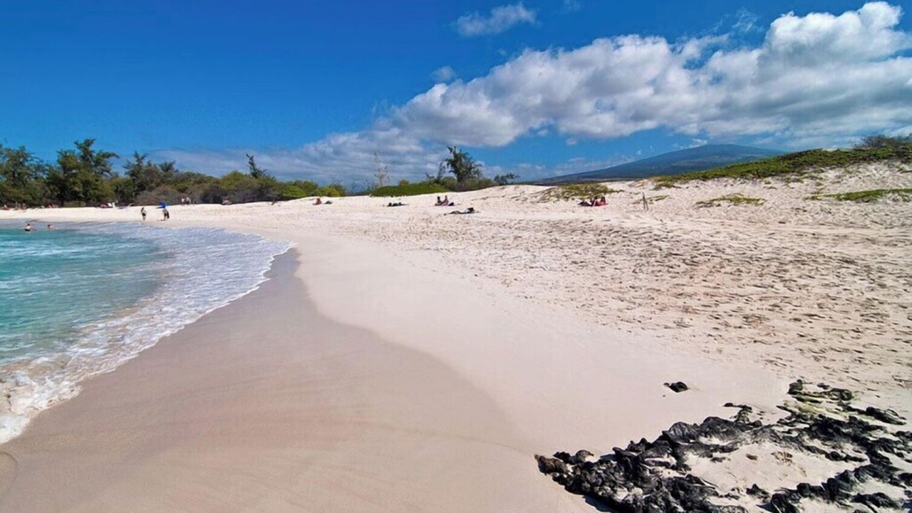 Photo of Others in Holualoa
