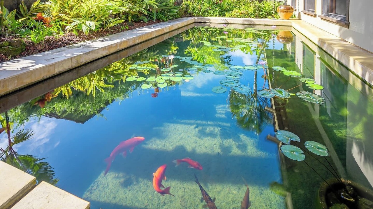 Photo of Outdoor in Kalihiwai