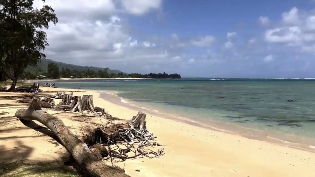 Photo of Others in Kahana