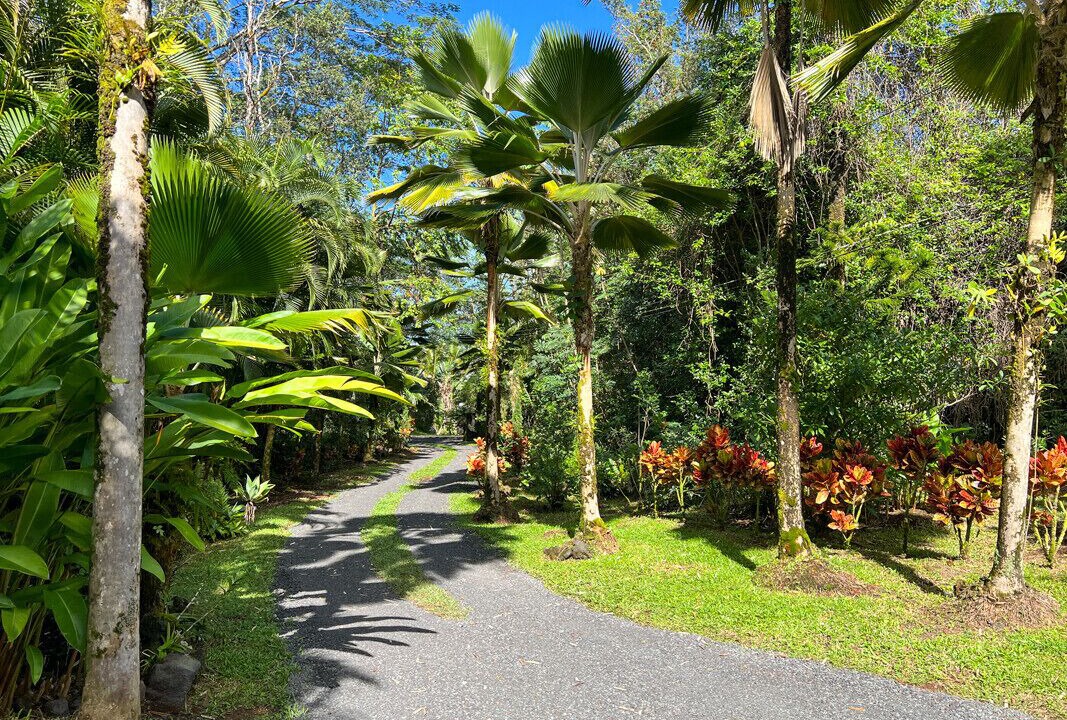 Photo of Outdoor in Keaau