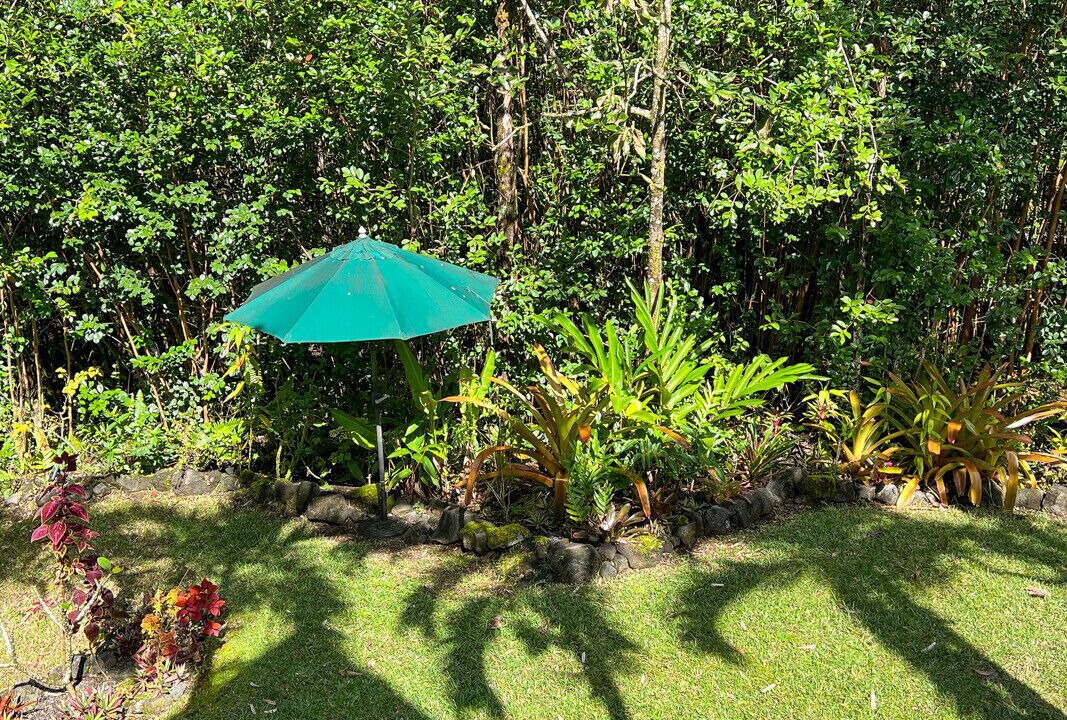 Photo of Outdoor in Keaau