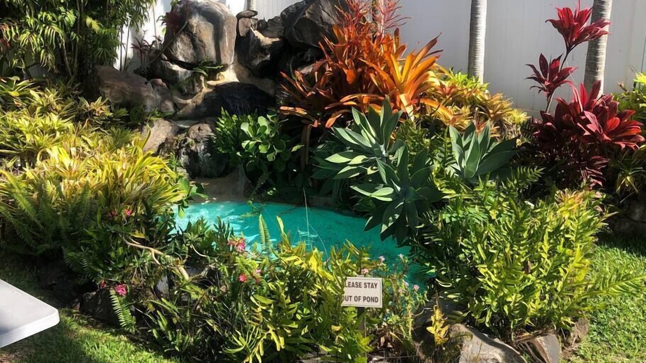 Photo of Others in Napili