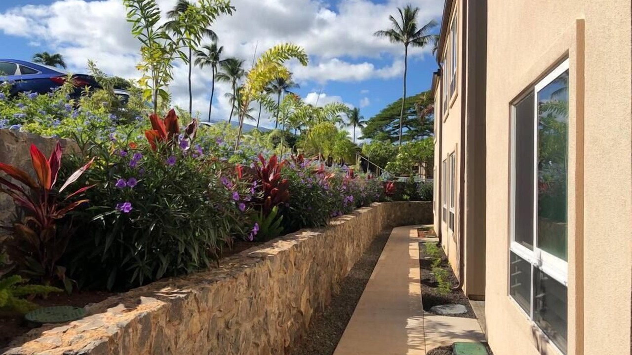 Photo of Others in Napili