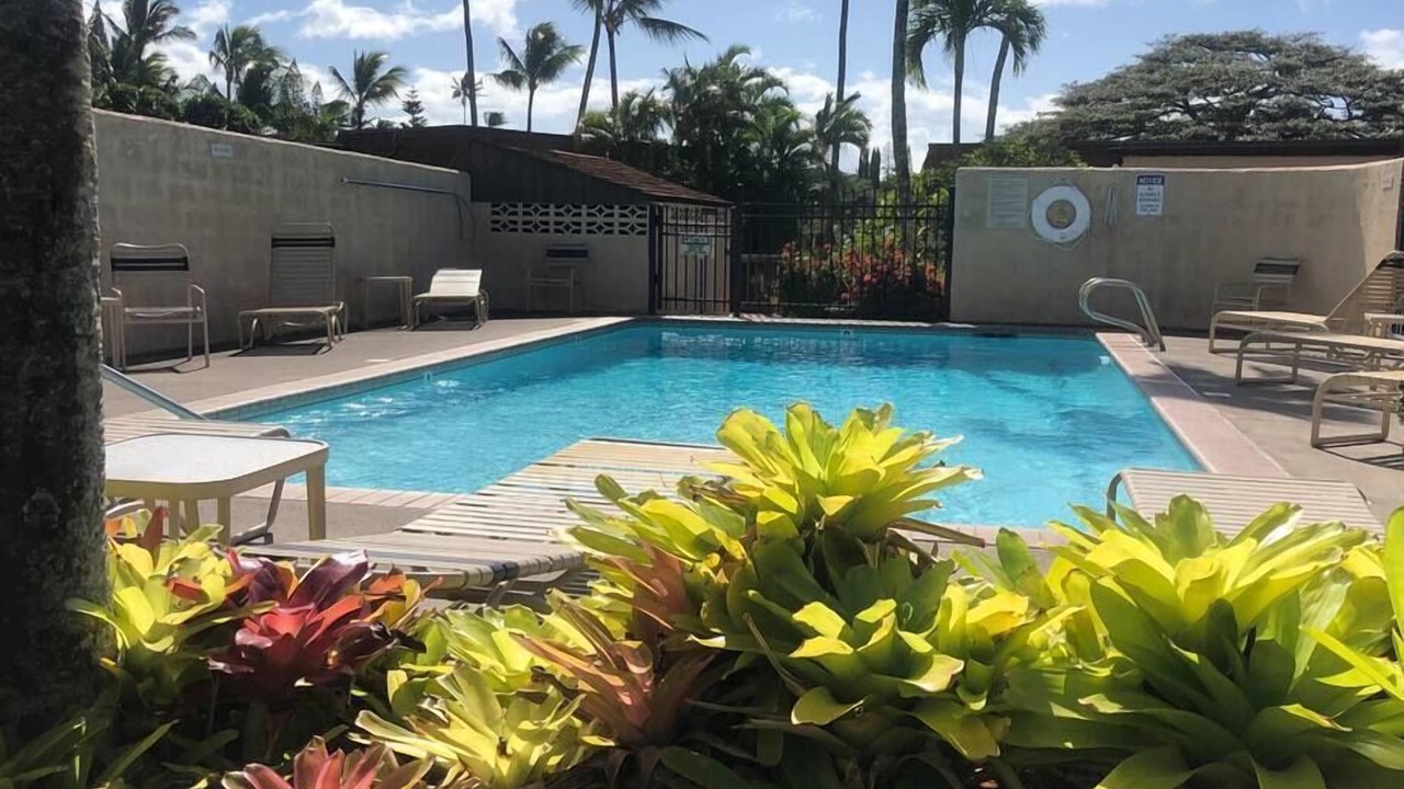 Photo of Others in Napili