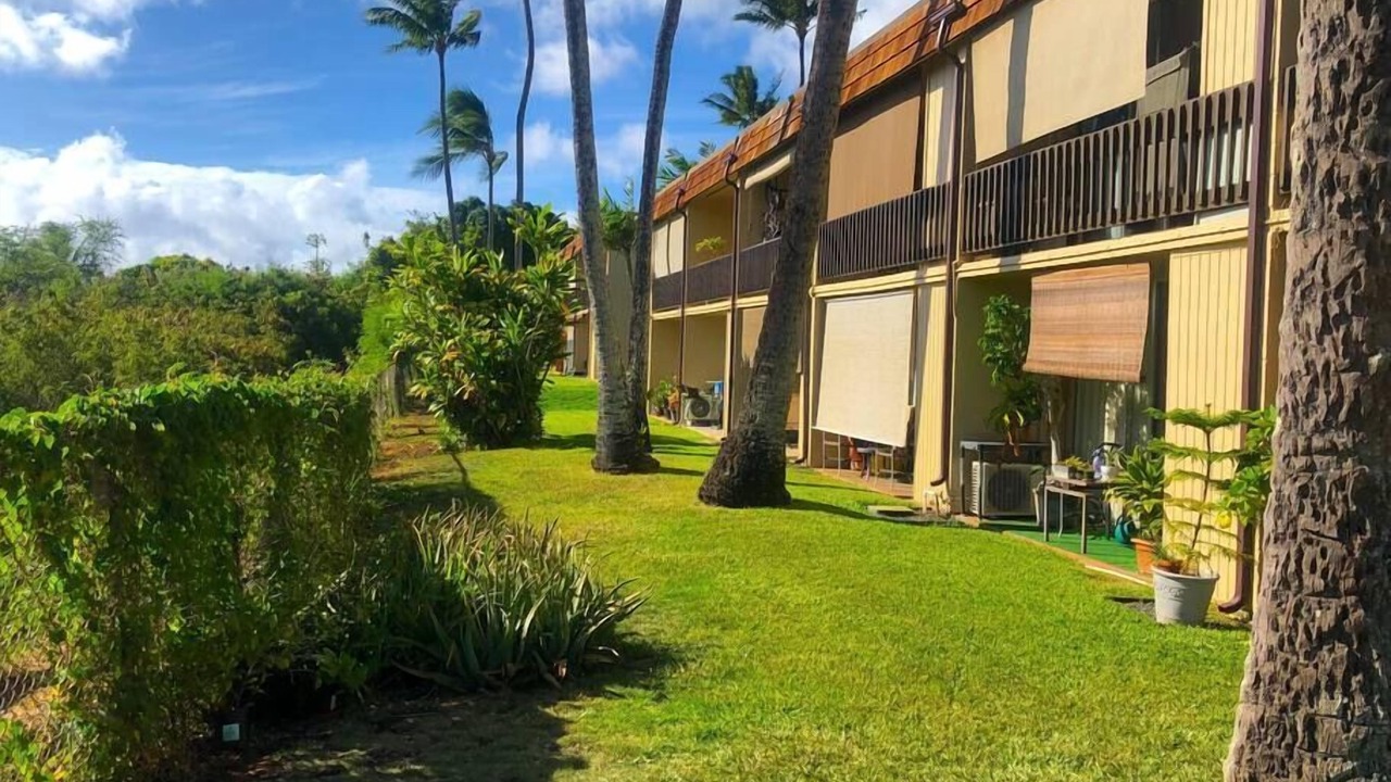Photo of Others in Napili