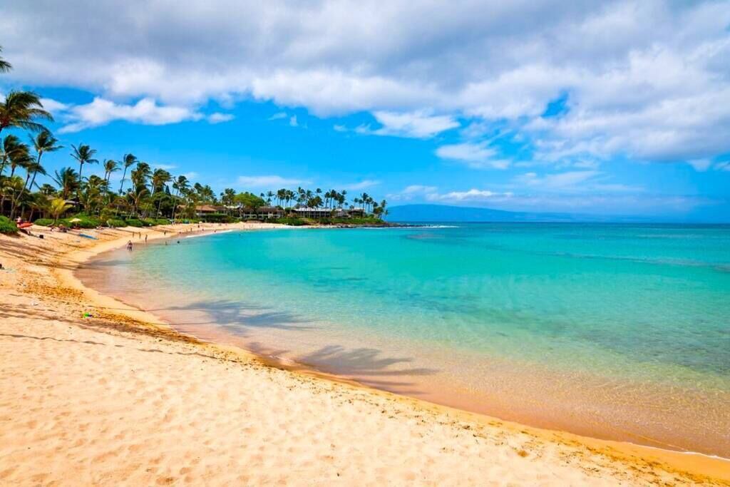 Photo of Others in Napili