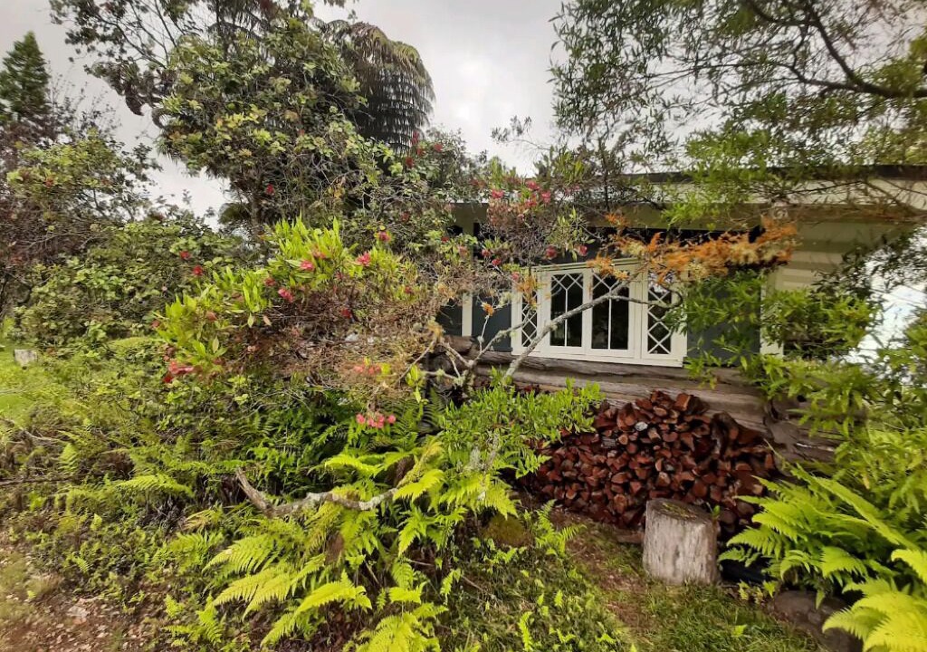 Photo of Outdoor in Kula