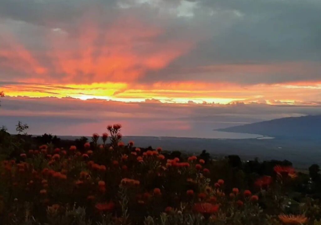 Photo of Others in Kula