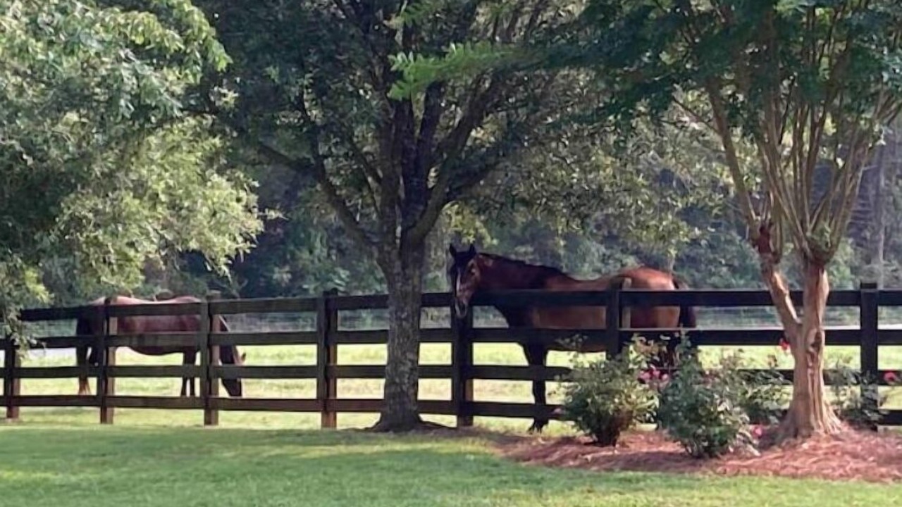 Photo of Outdoor in Abbeville