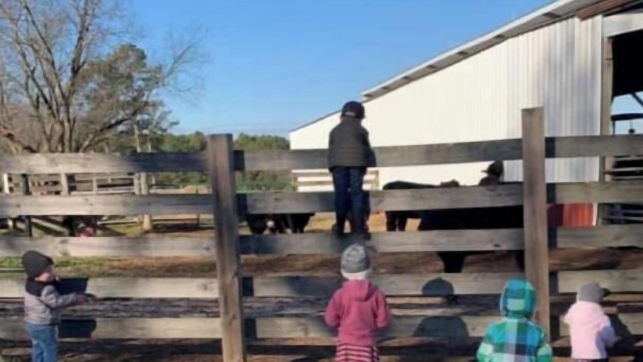 Photo of Outdoor in Abbeville