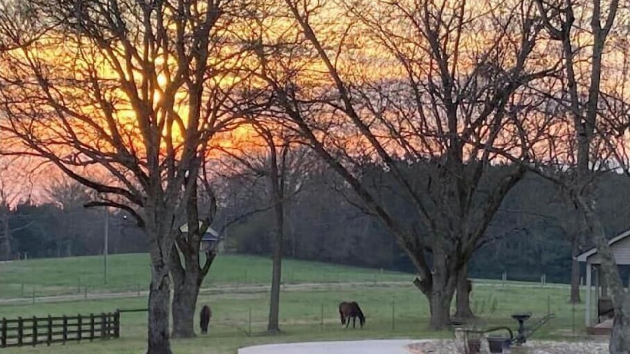 Photo of Others in Abbeville