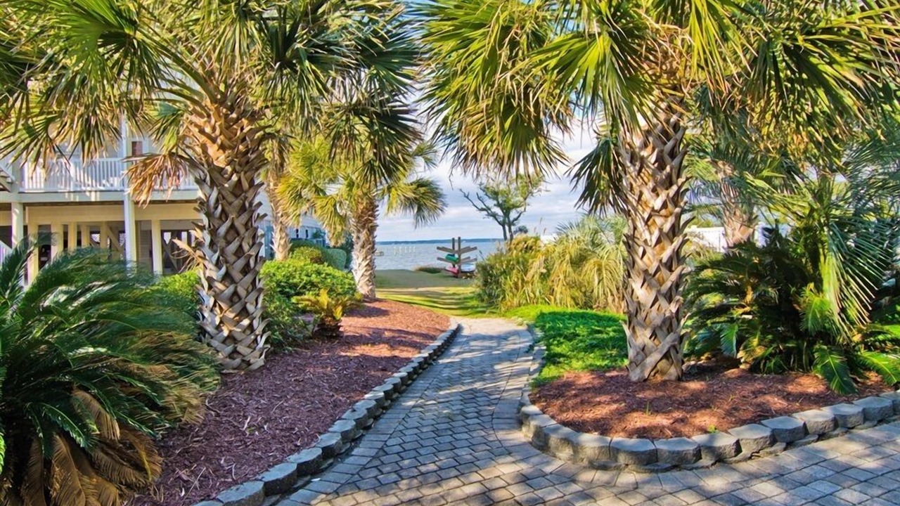 Photo of Others in Indian Beach