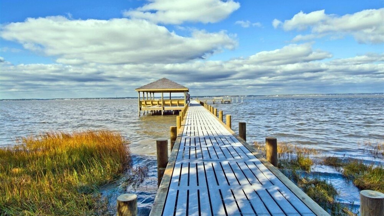 Photo of Others in Indian Beach