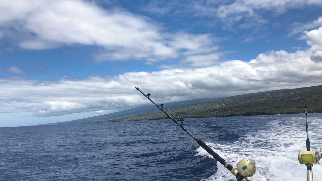 Photo of Others in Waikoloa