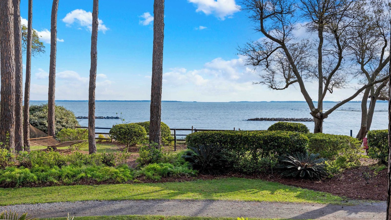 Photo of Outdoor in Palmetto Dunes