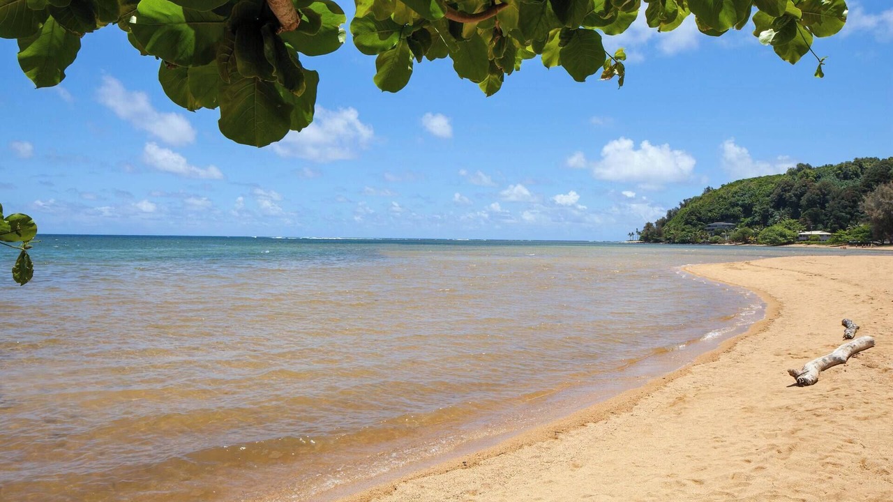 Photo of Others in Princeville
