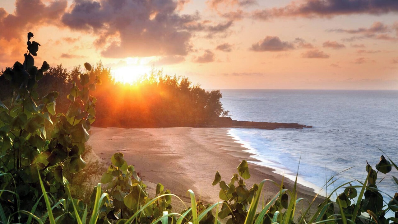 Photo of Others in Princeville