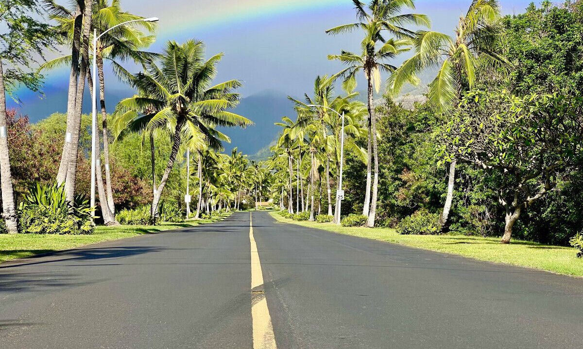 Photo of Others in Makaha Valley