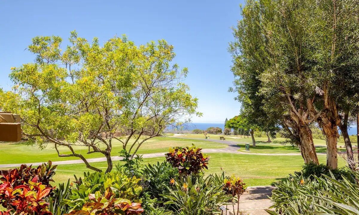 Photo of Outdoor in Waikoloa