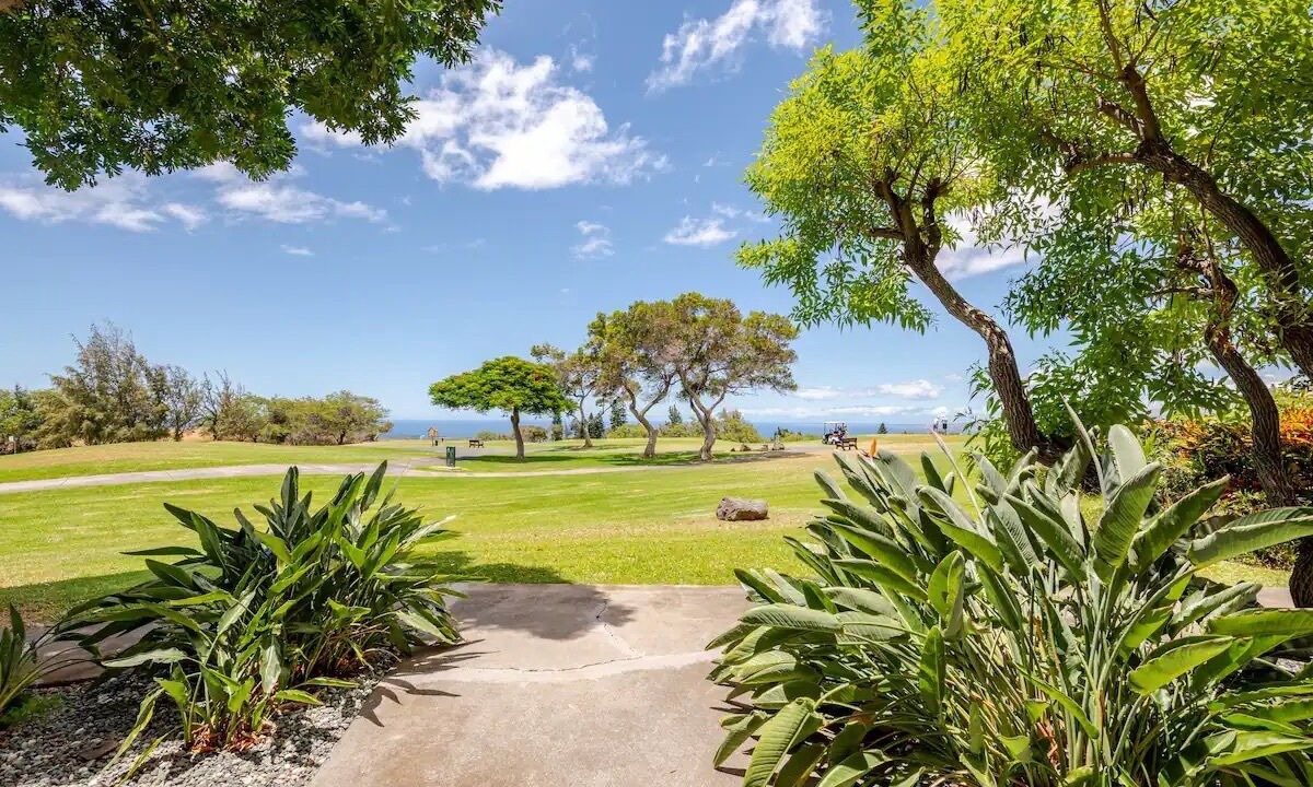 Photo of Others in Waikoloa