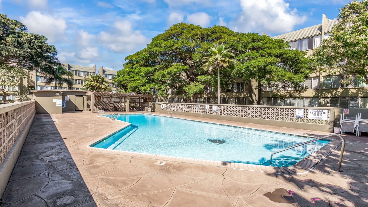 Photo of Outdoor in Kahului