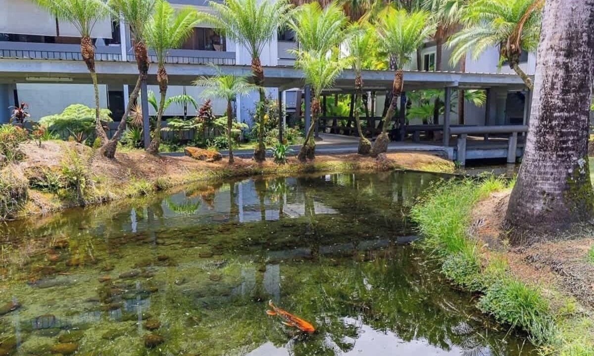 Photo of Outdoor in Hilo