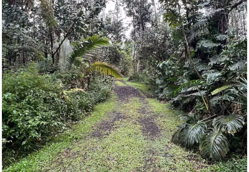 Photo of Others in Kapoho