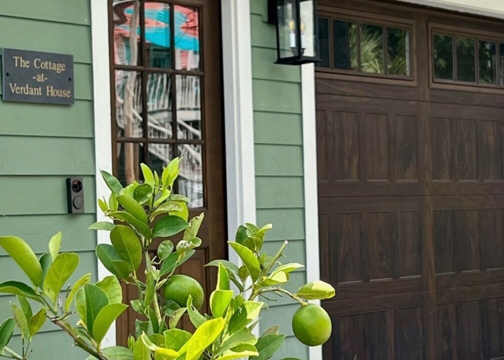 Photo of Outdoor in Metropolitan