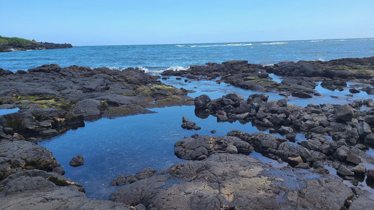 Photo of Outdoor in Keaau
