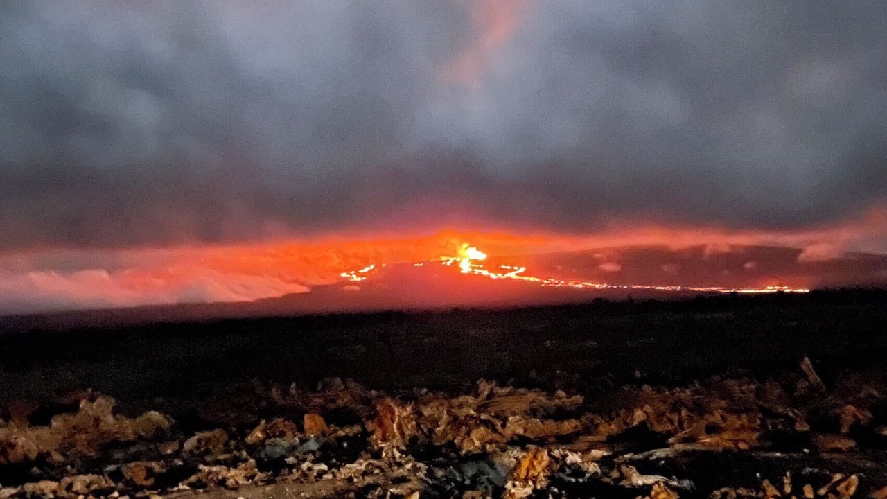 Photo of Outdoor in Keaau