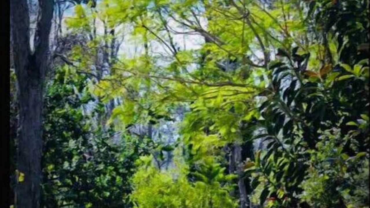 Photo of Outdoor in Ocean View