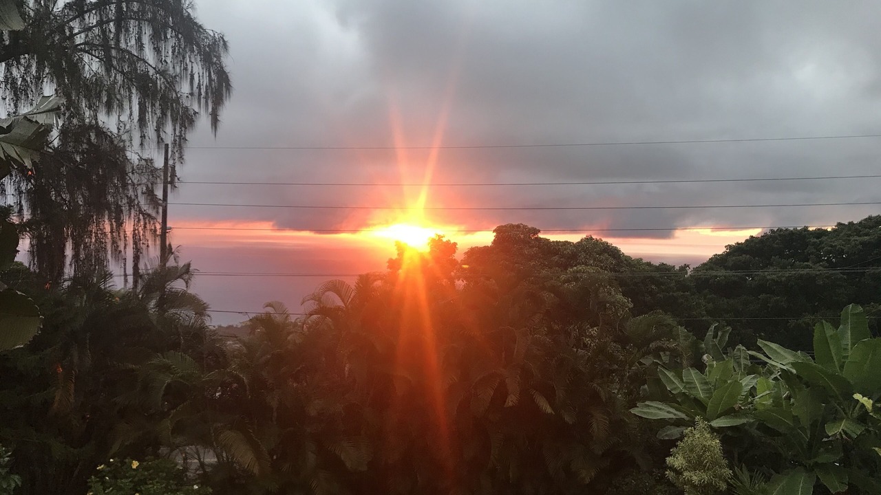 Photo of Outdoor in Holualoa