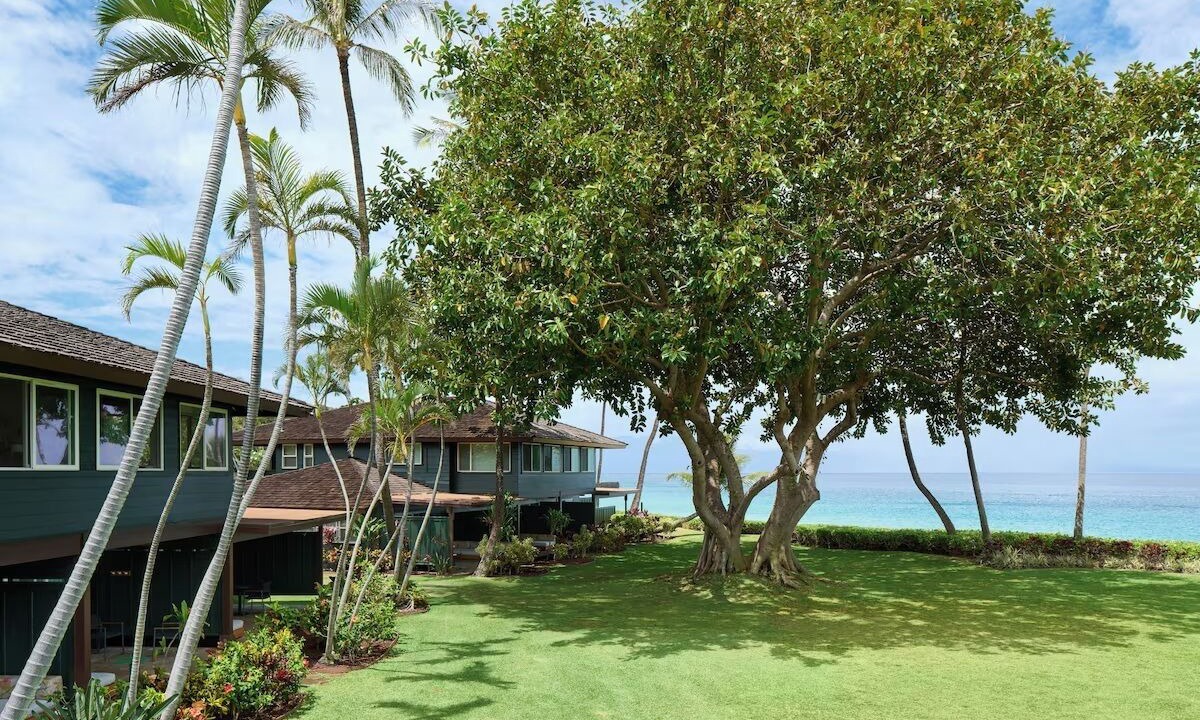 Photo of Others in Kaanapali