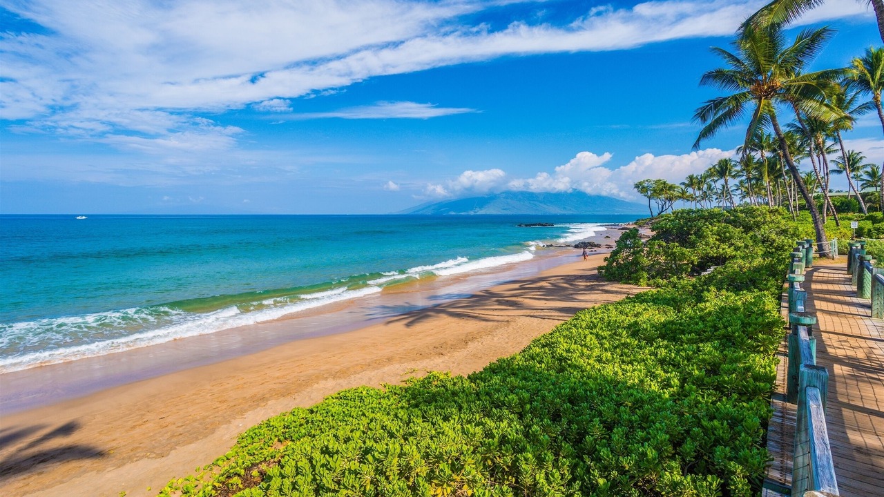 Photo of Others in Wailea