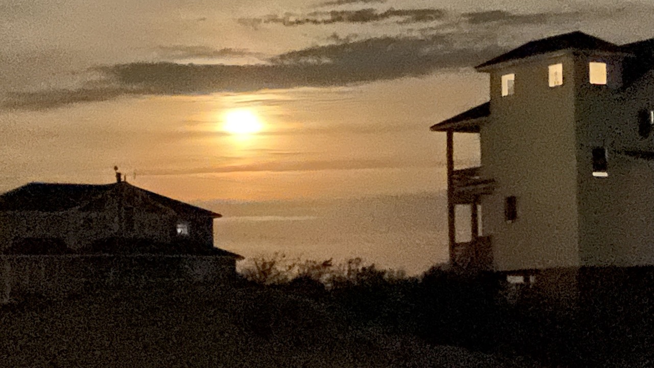Photo of Outdoor in Carova Beach