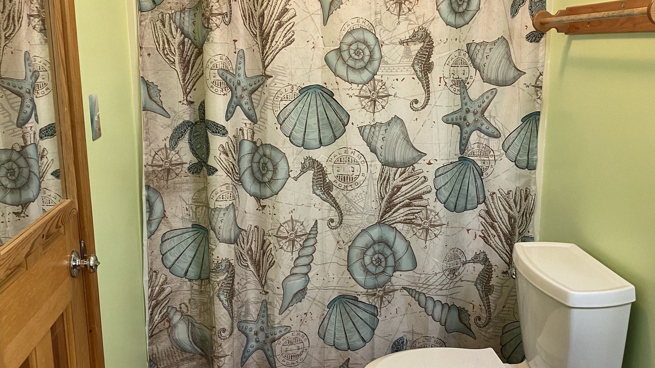 Photo of Bathroom in Carova Beach