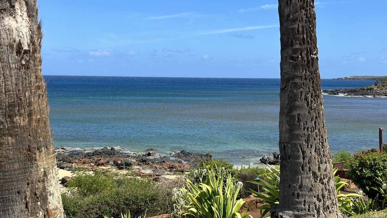 Photo of Others in Maunaloa