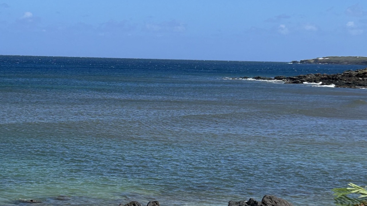 Photo of Others in Maunaloa
