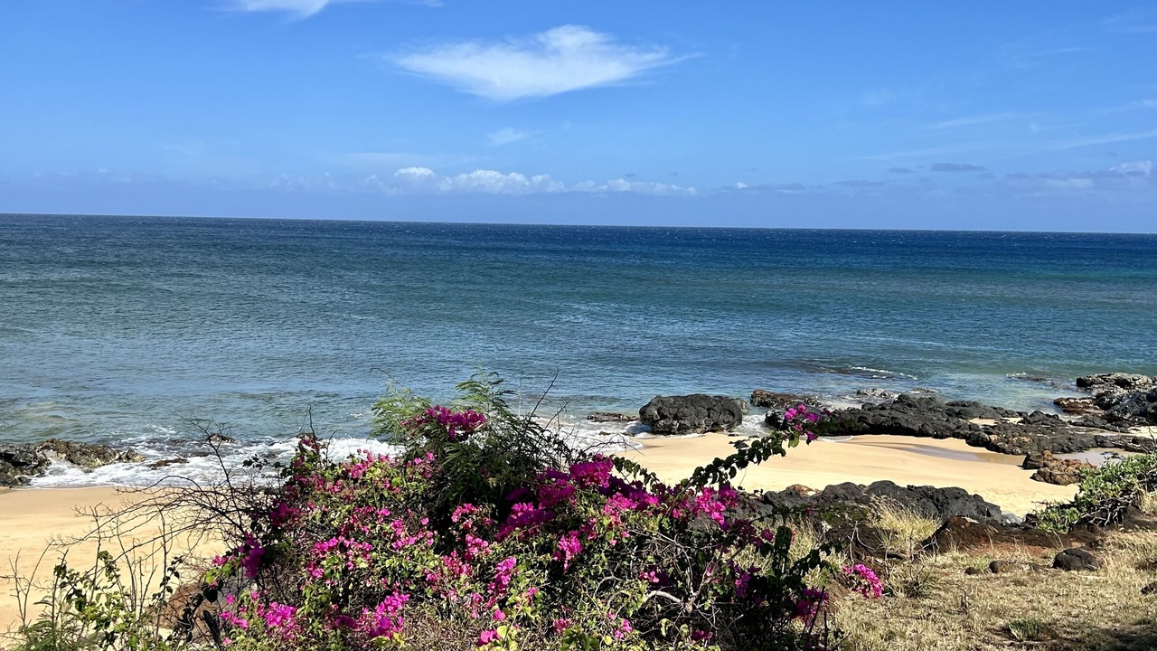 Photo of Others in Maunaloa