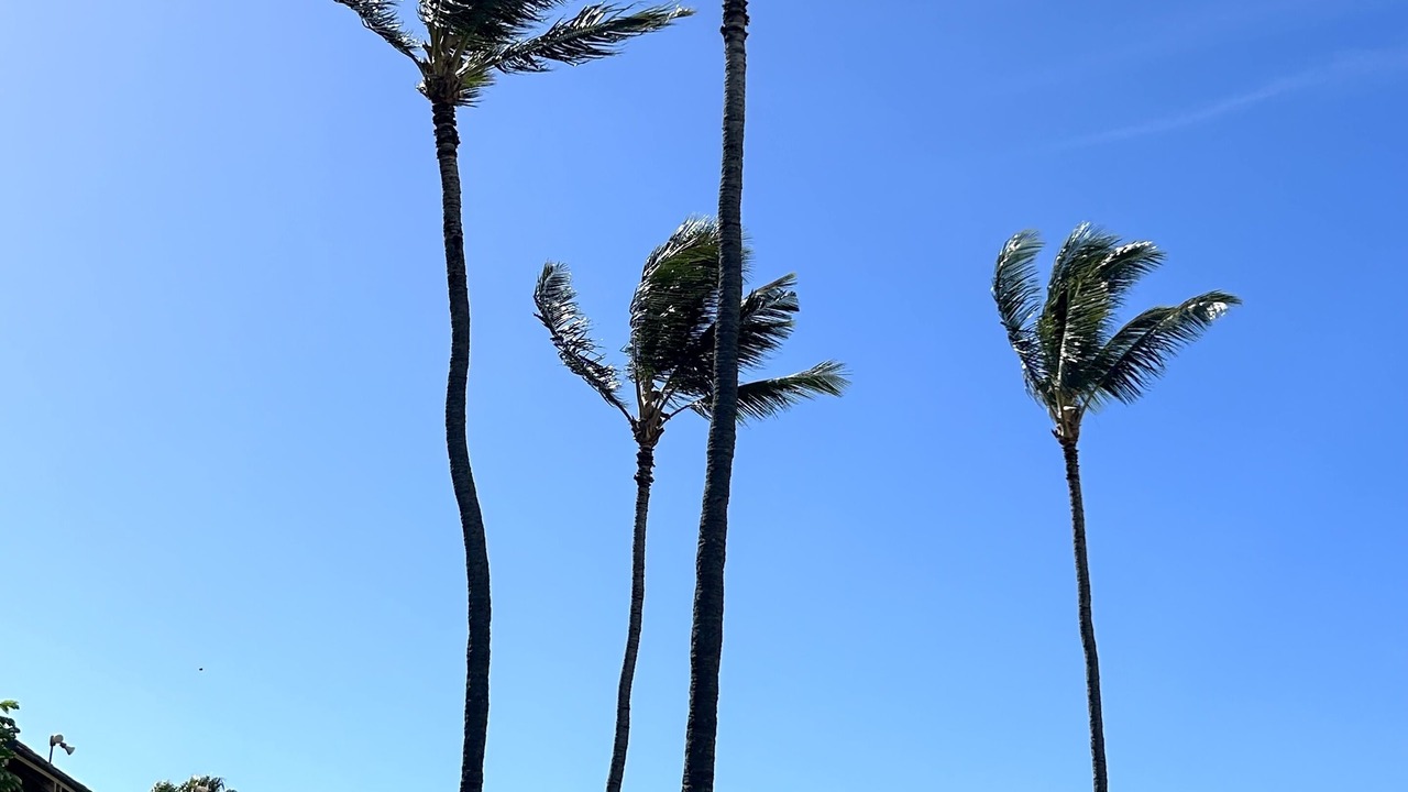 Photo of Outdoor in Maunaloa