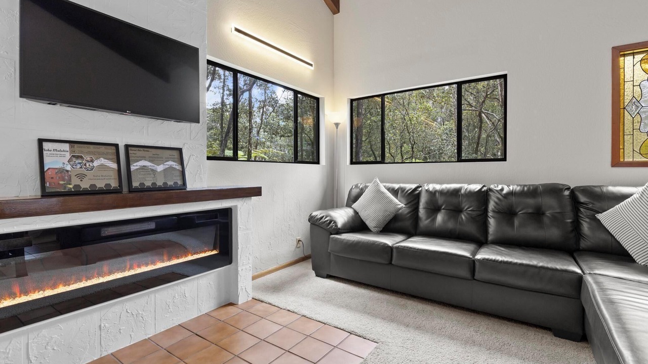 Photo of Livingroom in Volcano