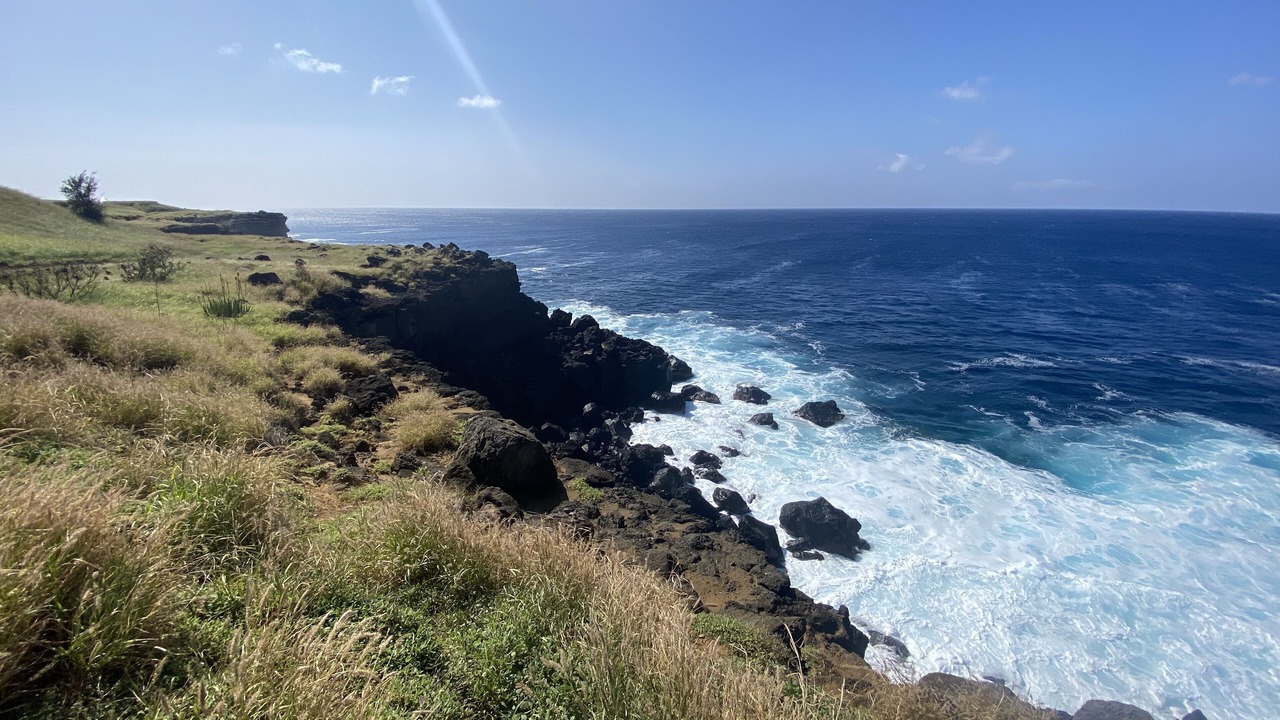 Photo of Others in Ocean View