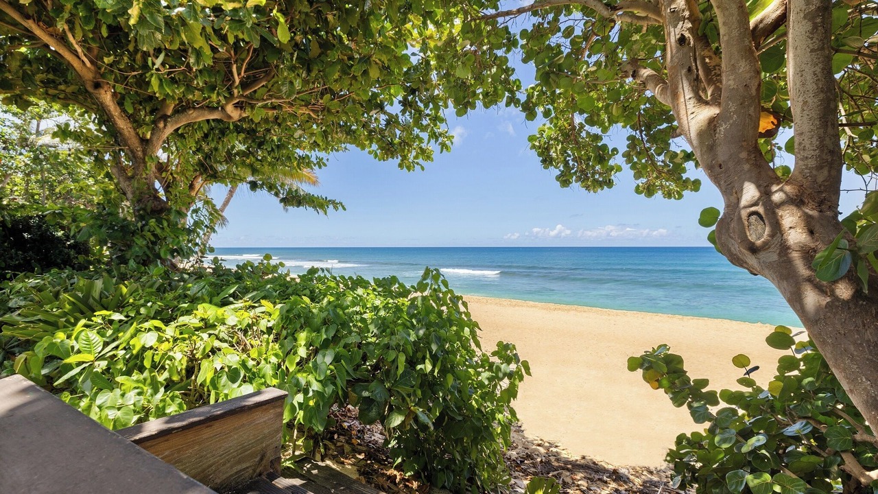Photo of Others in Hauula