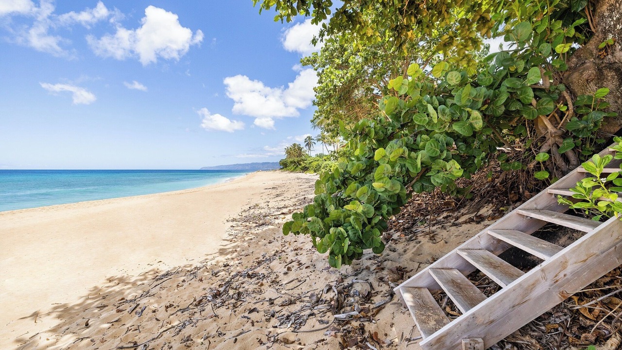 Photo of Others in Hauula