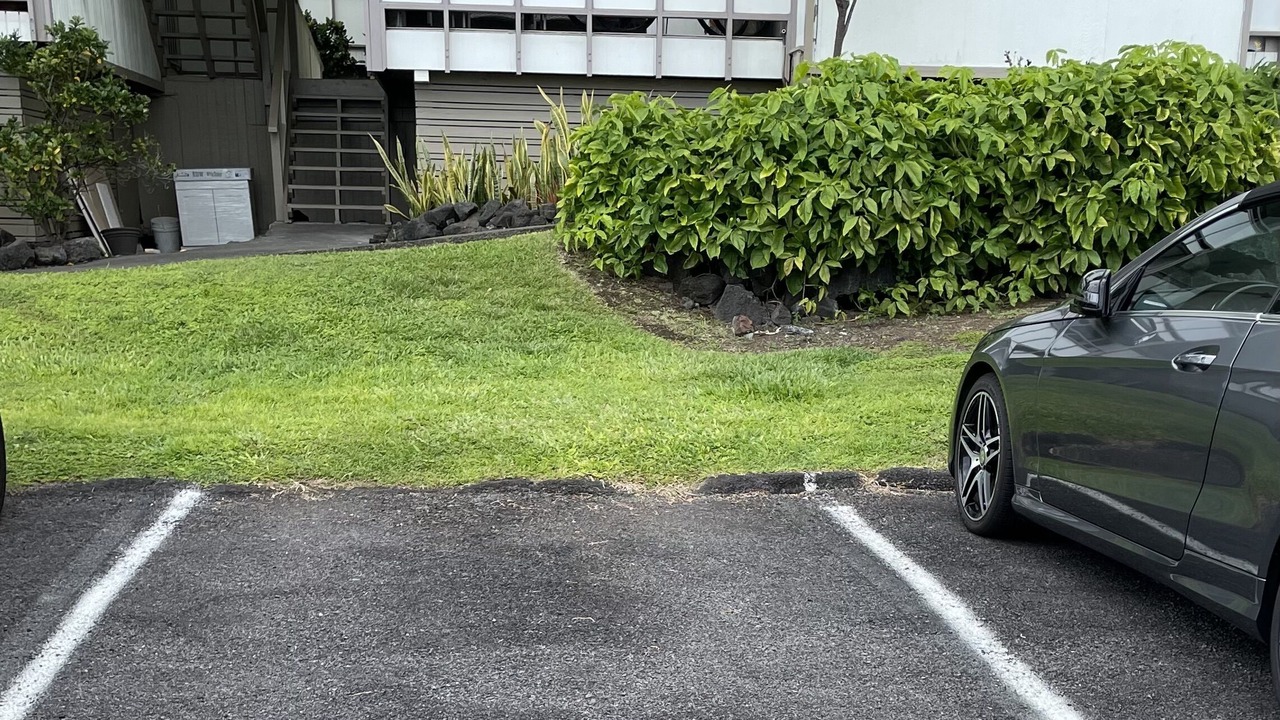 Photo of Outdoor in Historic Kailua Village