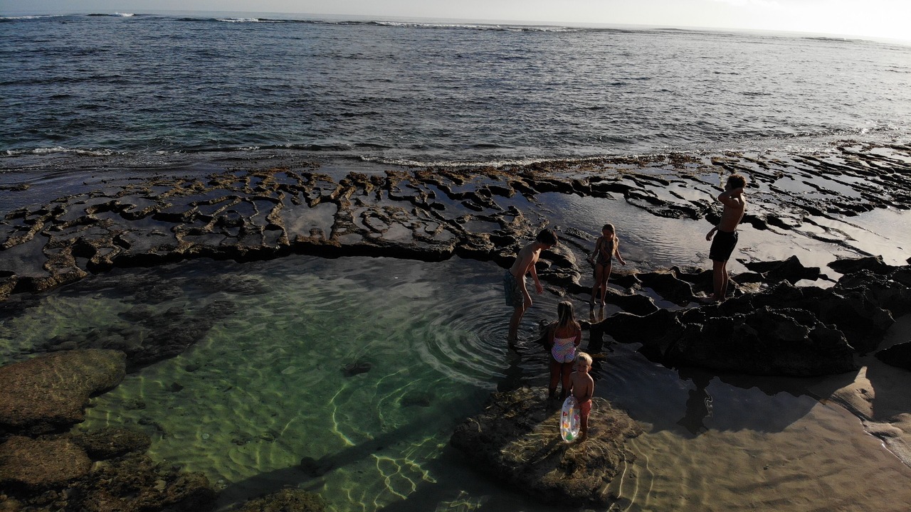 Photo of Others in Hauula