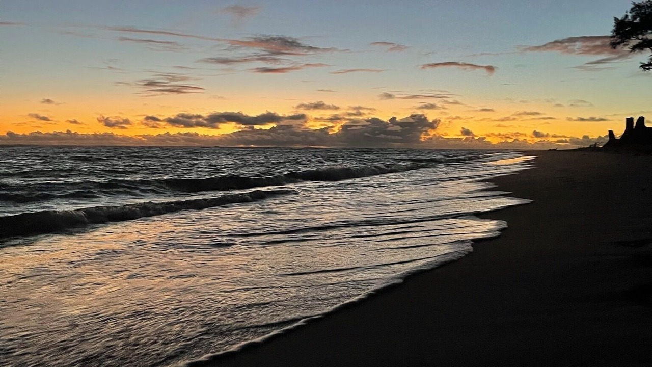 Photo of Others in Hauula